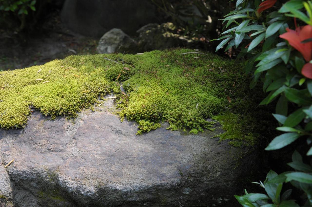 Historical Ryokan Senyukan Owani Extérieur photo
