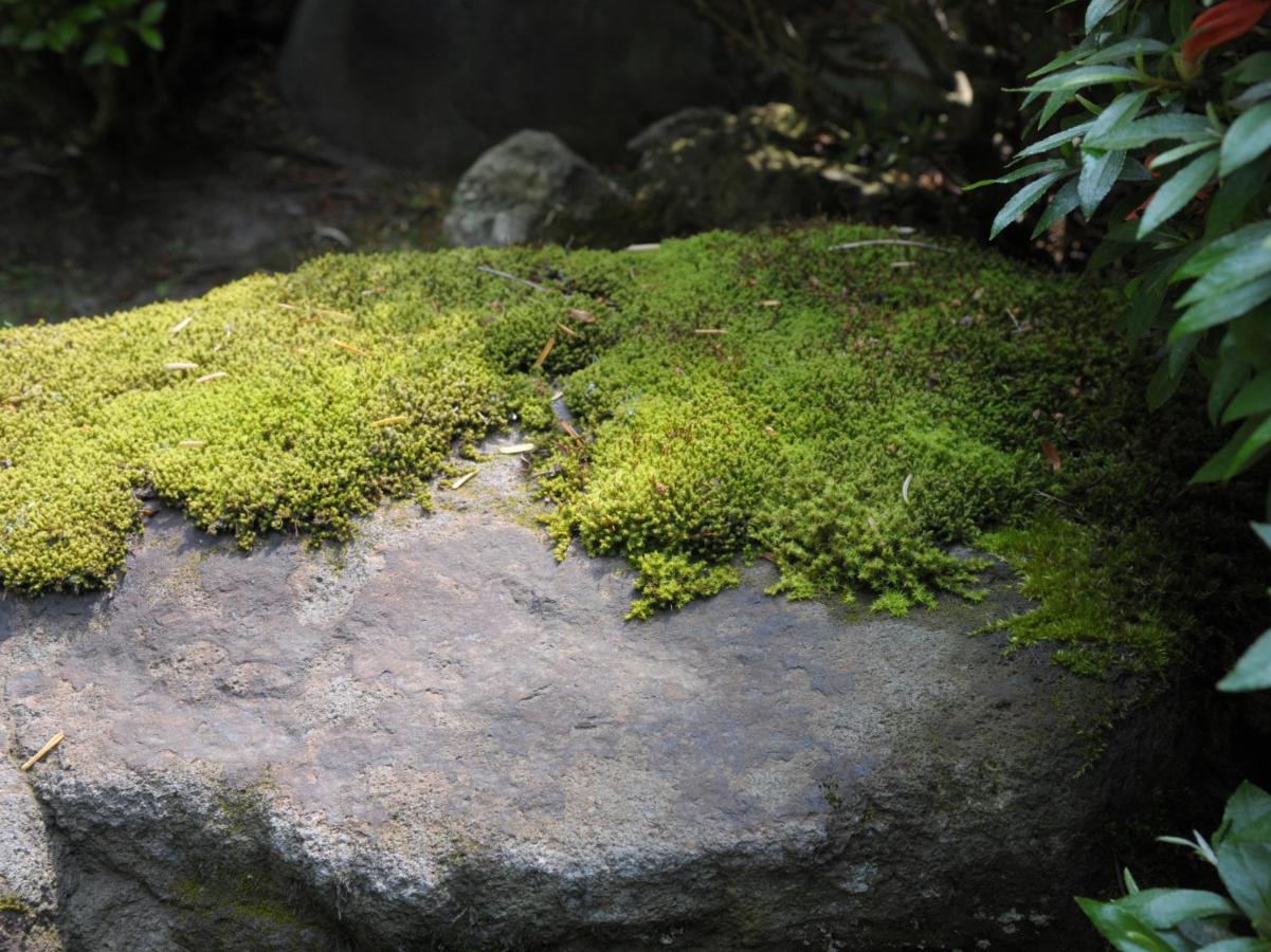 Historical Ryokan Senyukan Owani Extérieur photo