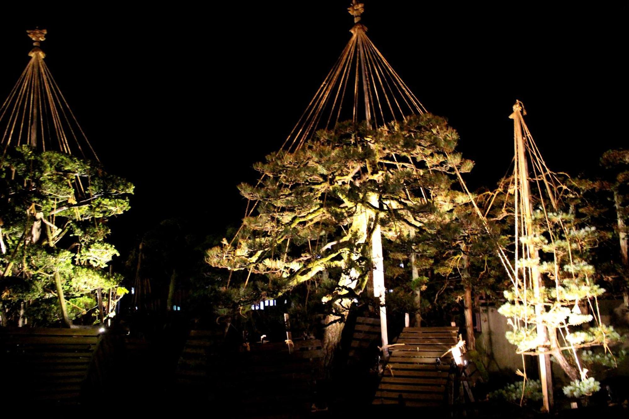 Historical Ryokan Senyukan Owani Extérieur photo